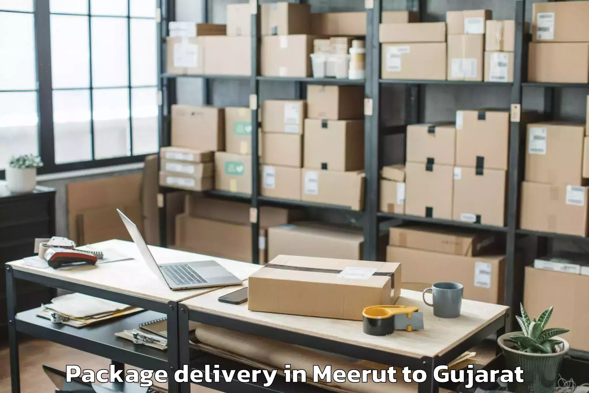 Meerut to Gujarat Ayurved University Jam Package Delivery Booking